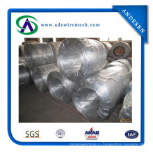 Высокое качество оцинкованной железной проволоки (АДС-ГВ-01)